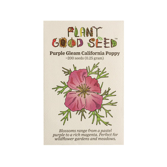 plant good seed / purple gleam california poppy