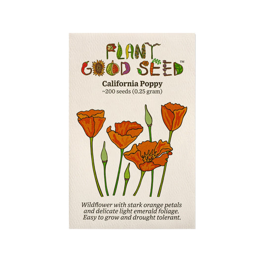 plant good seed / california poppy