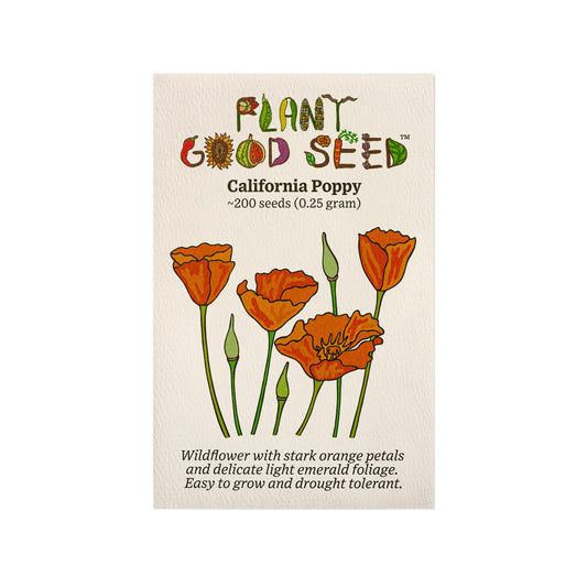 plant good seed / california poppy