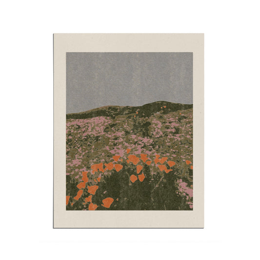 coco shalom / art prints - california poppies