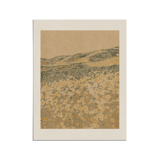 coco shalom / art prints - field of 70's