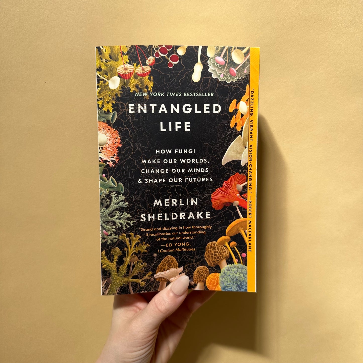 entangled life: how fungi make your worlds, change our minds & shape our futures