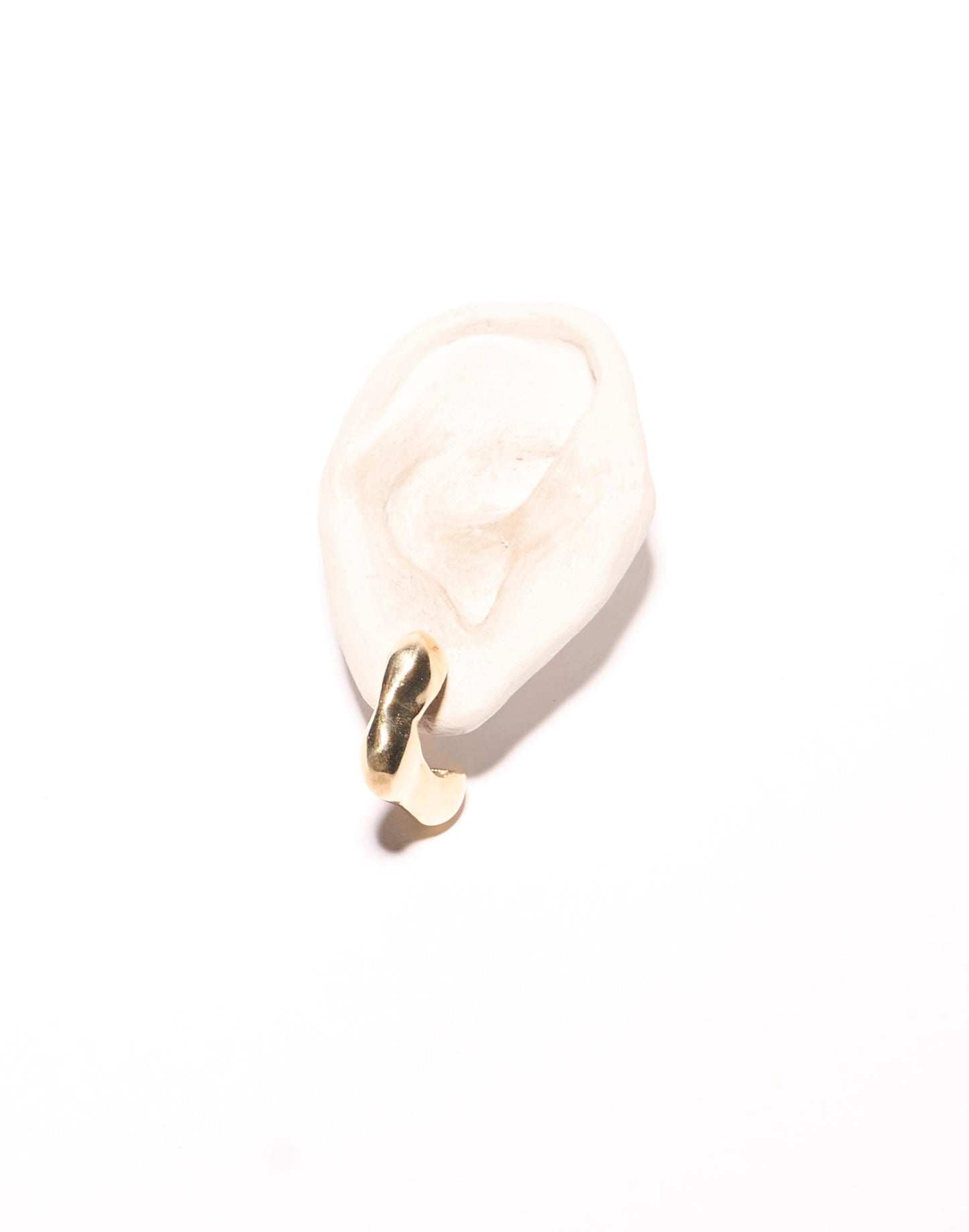 franca hoop earrings