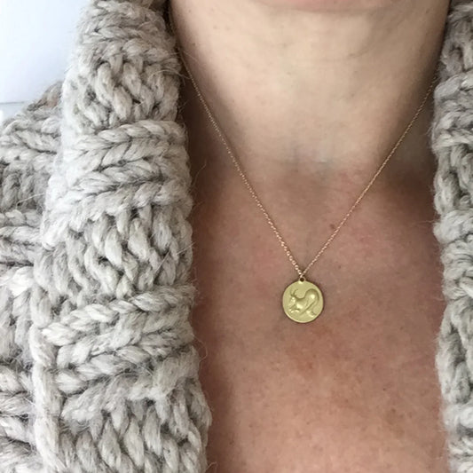 zodiac medal pendant necklace - capricorn