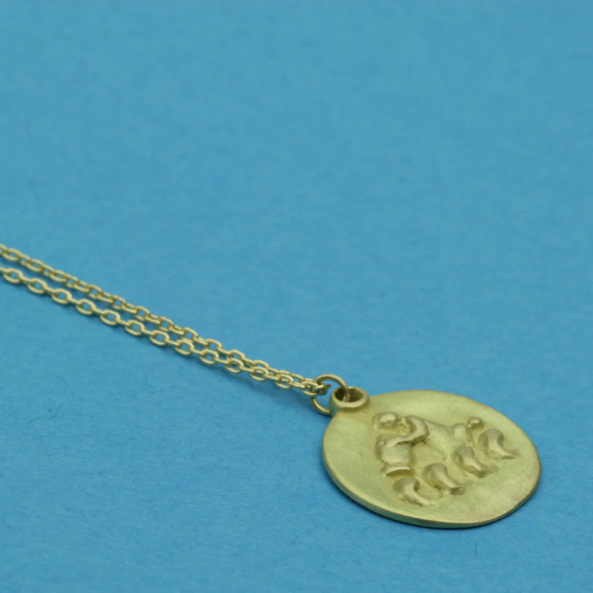 zodiac medal pendant - aquarius
