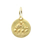 zodiac medal pendant necklace - aquarius