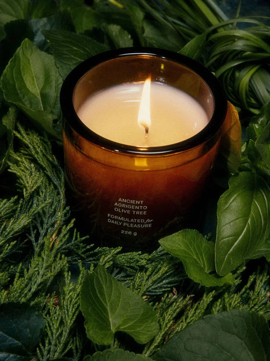 flamingo estate / ancient agrigento olive tree candle