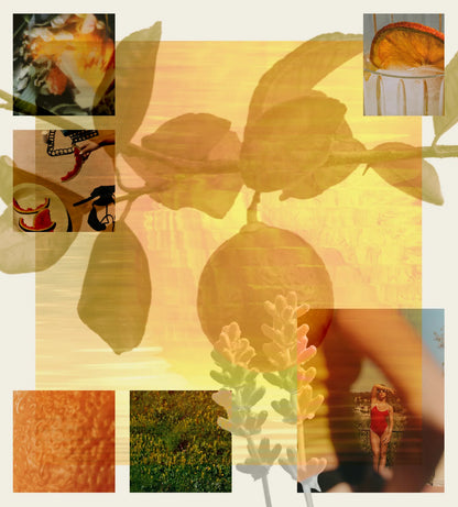 liberation of flowers / eau de parfum - plot twist