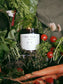 fable || rune / candle - herbarium
