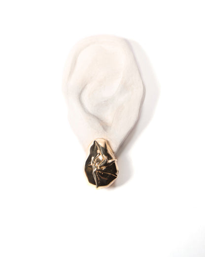 sandre earrings
