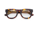 CADDIS / D28 readers - turtle