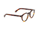 CADDIS / dogleg readers - turtle