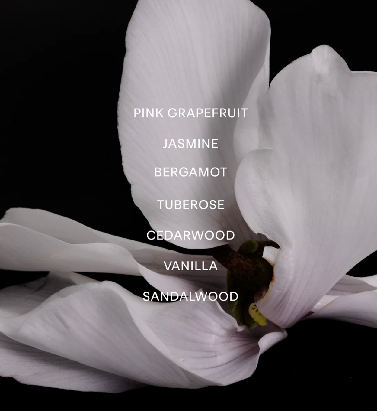 ayond / eau de parfum - vesper bloom
