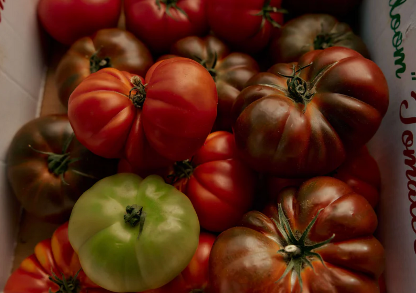 flamingo estate / candle - heirloom tomato