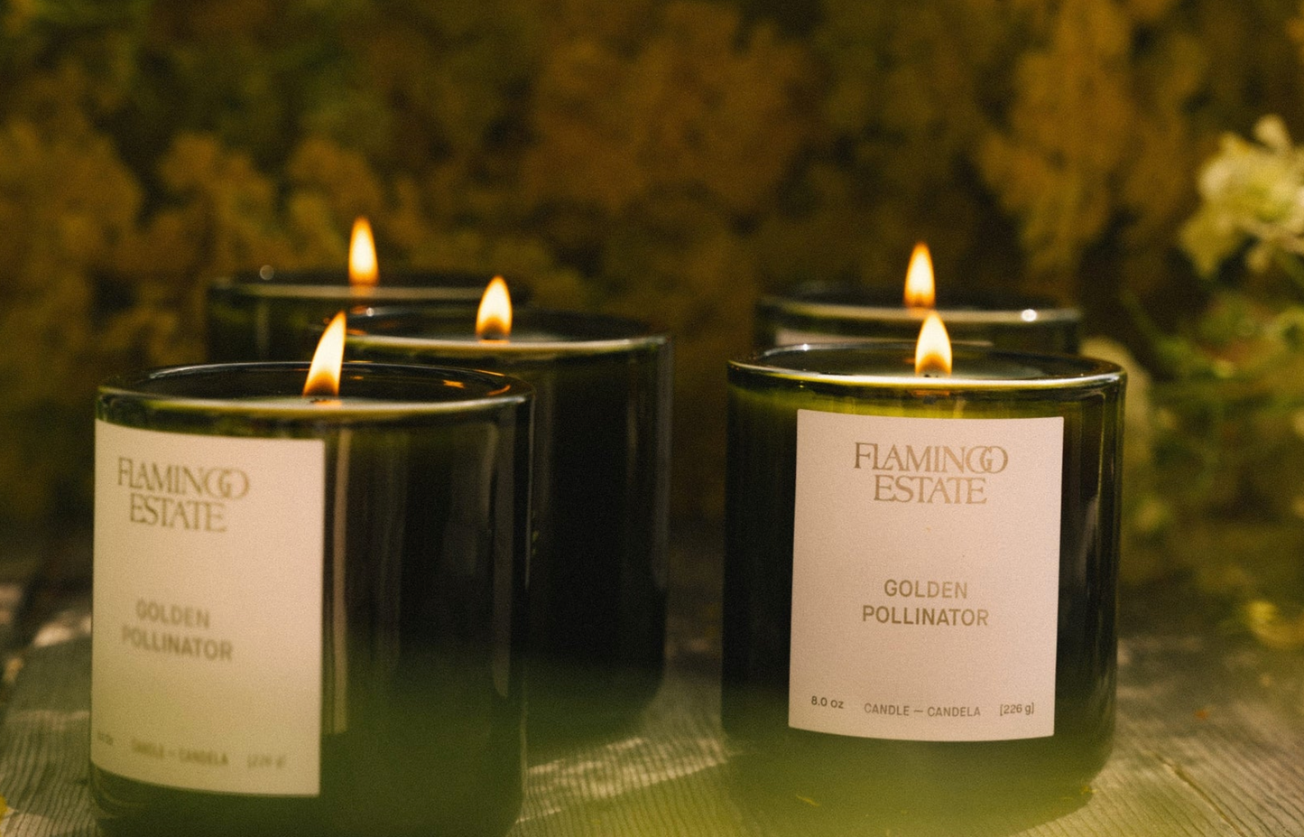 flamingo estate / candle - golden pollinator