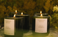 flamingo estate / candle - golden pollinator