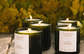 flamingo estate / candle - golden pollinator