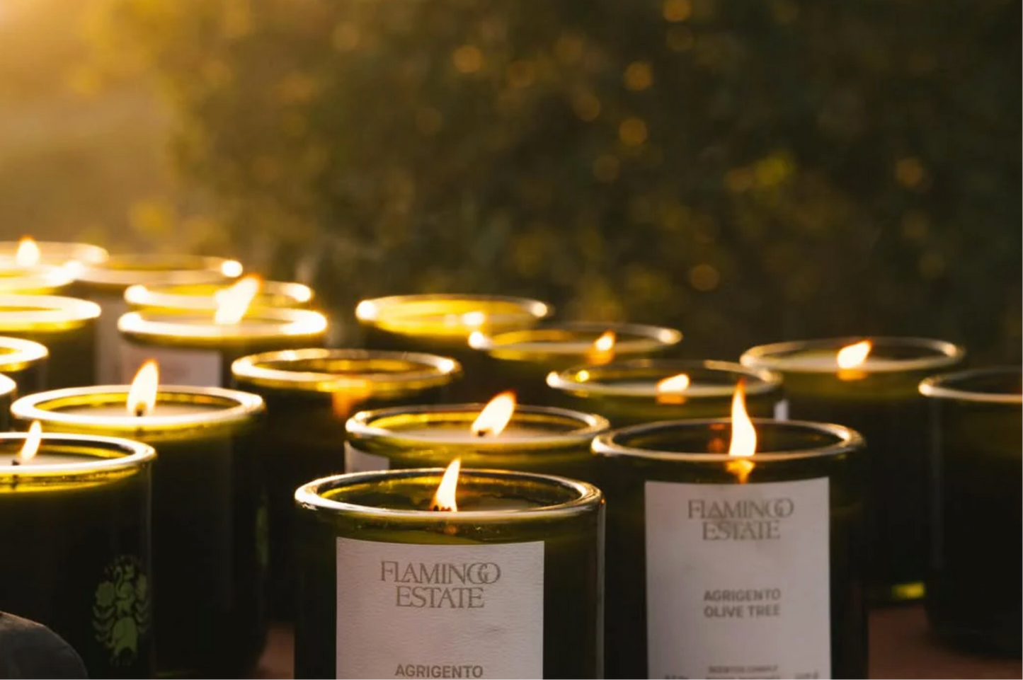 flamingo estate / candle - ancient agrigento olive tree