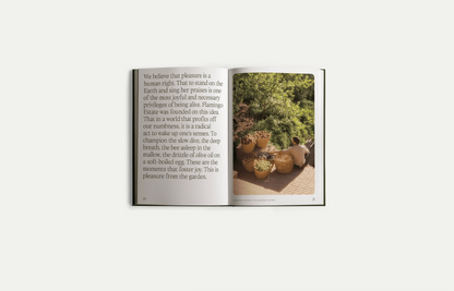 flamingo estate: fridays from the garden