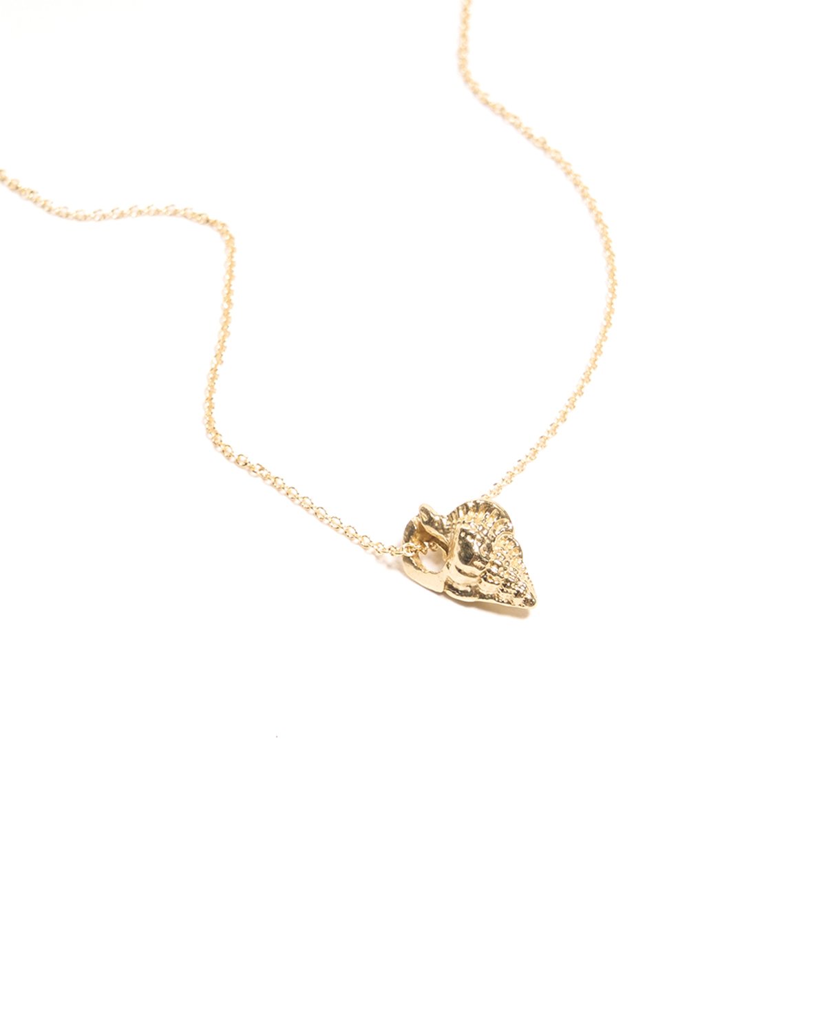 coquille necklace