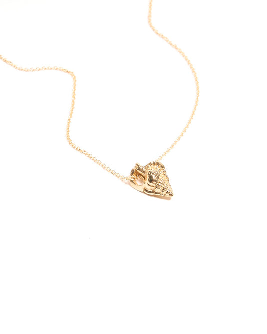 coquille necklace