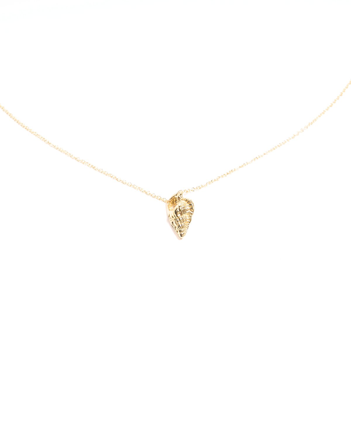 coquille necklace