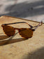 RAEN / wiley - brindle tortoise - polarized