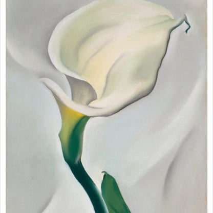 georgia o'keeffe paintings boxed notecard set