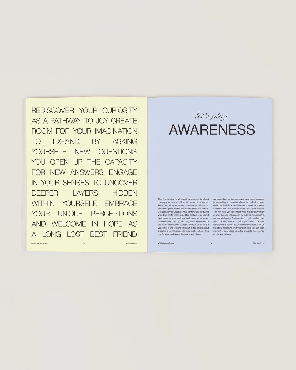 wilde house paper / pieces of you journal