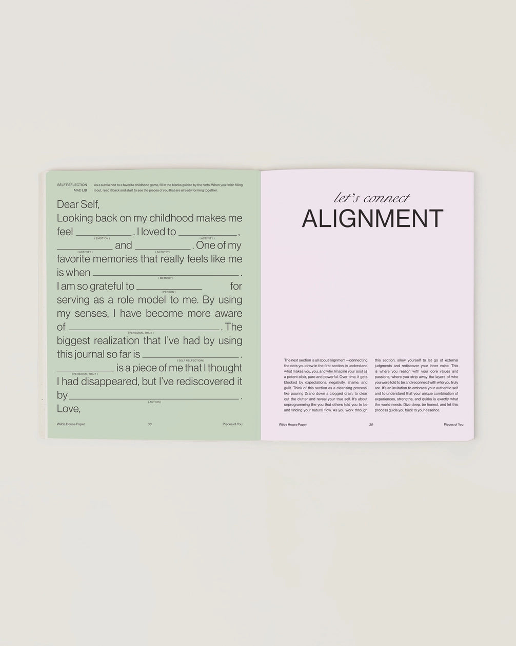 wilde house paper / pieces of you journal