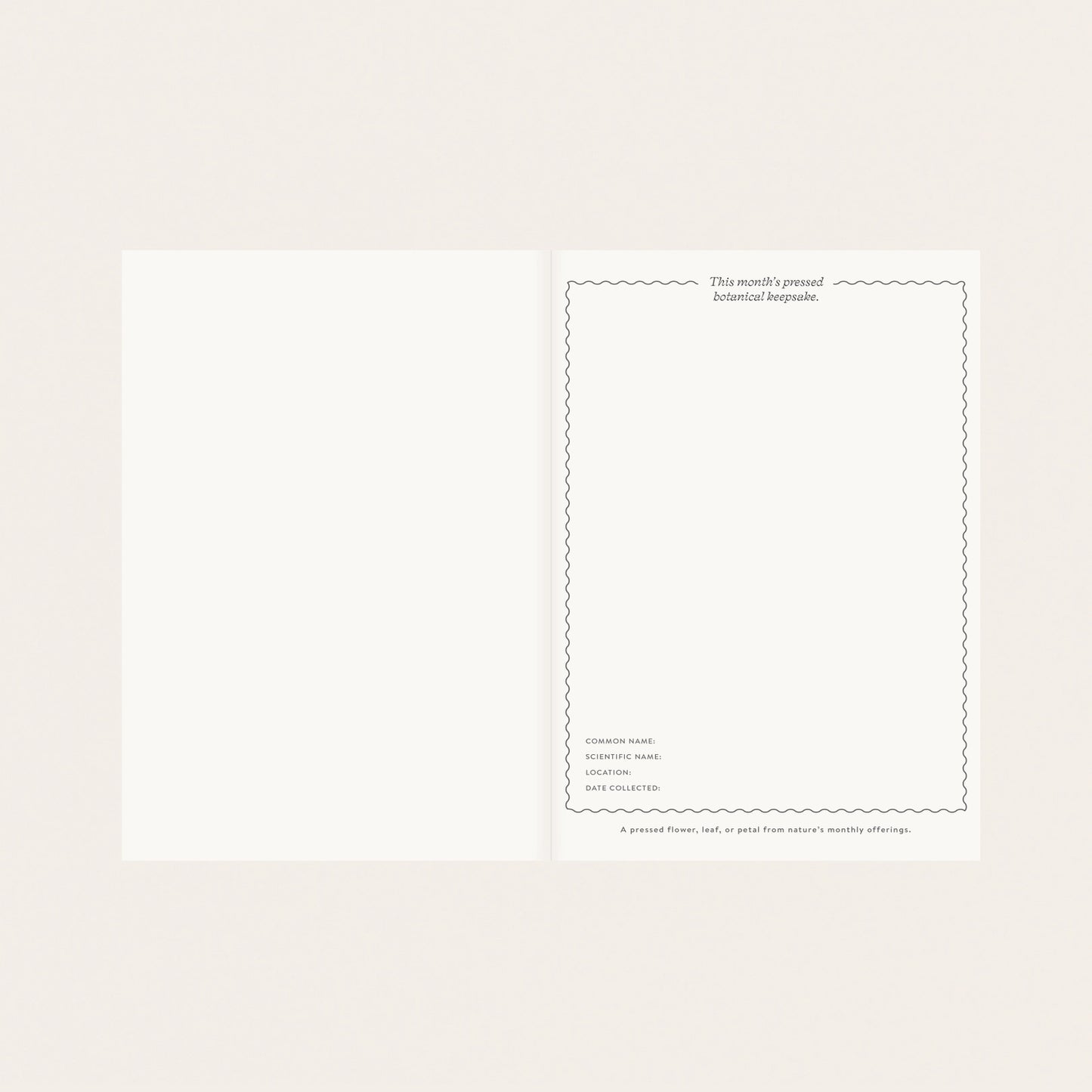 botanica paper co. / linen planner - herbarium