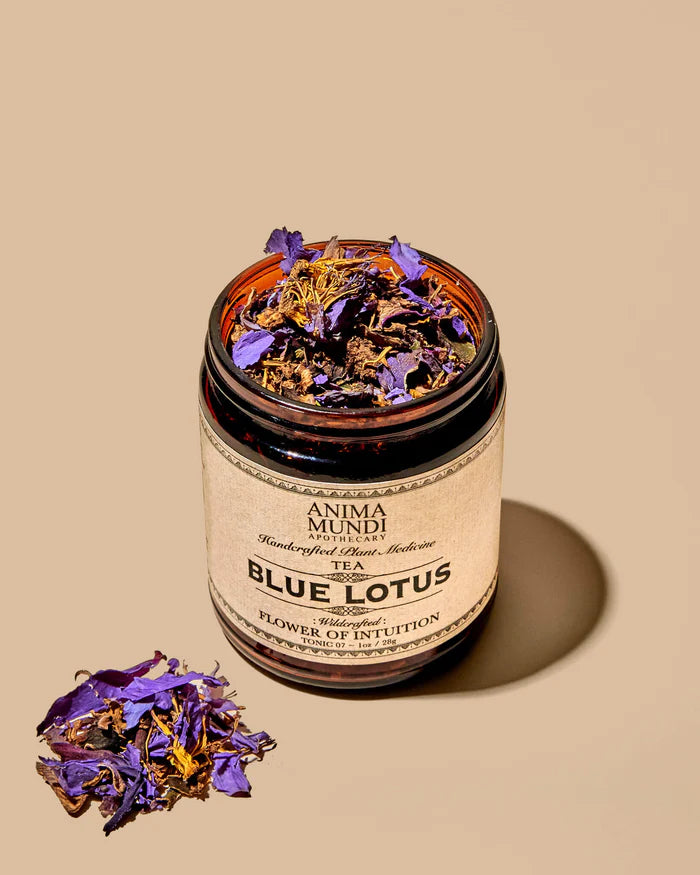 anima mundi / tea - blue lotus