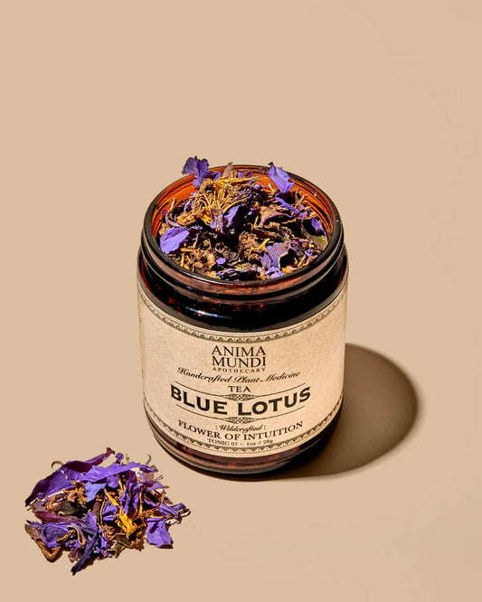 anima mundi / tea - blue lotus