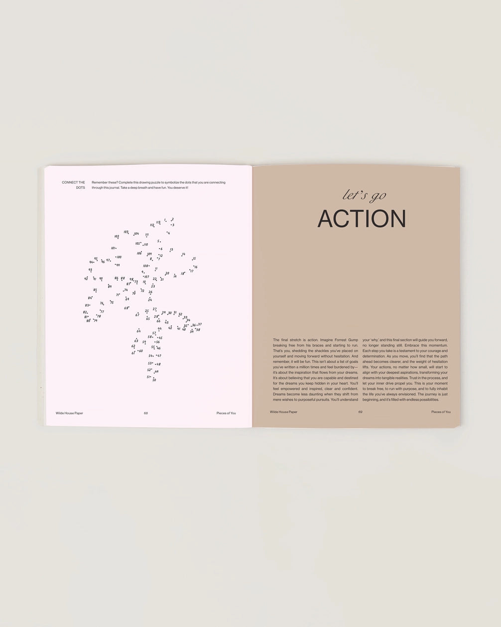 wilde house paper / pieces of you journal