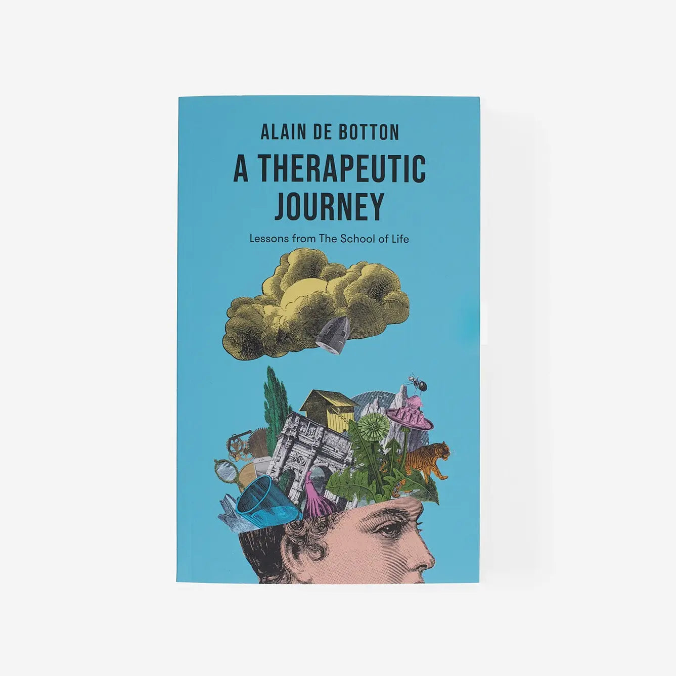a therapeutic journey