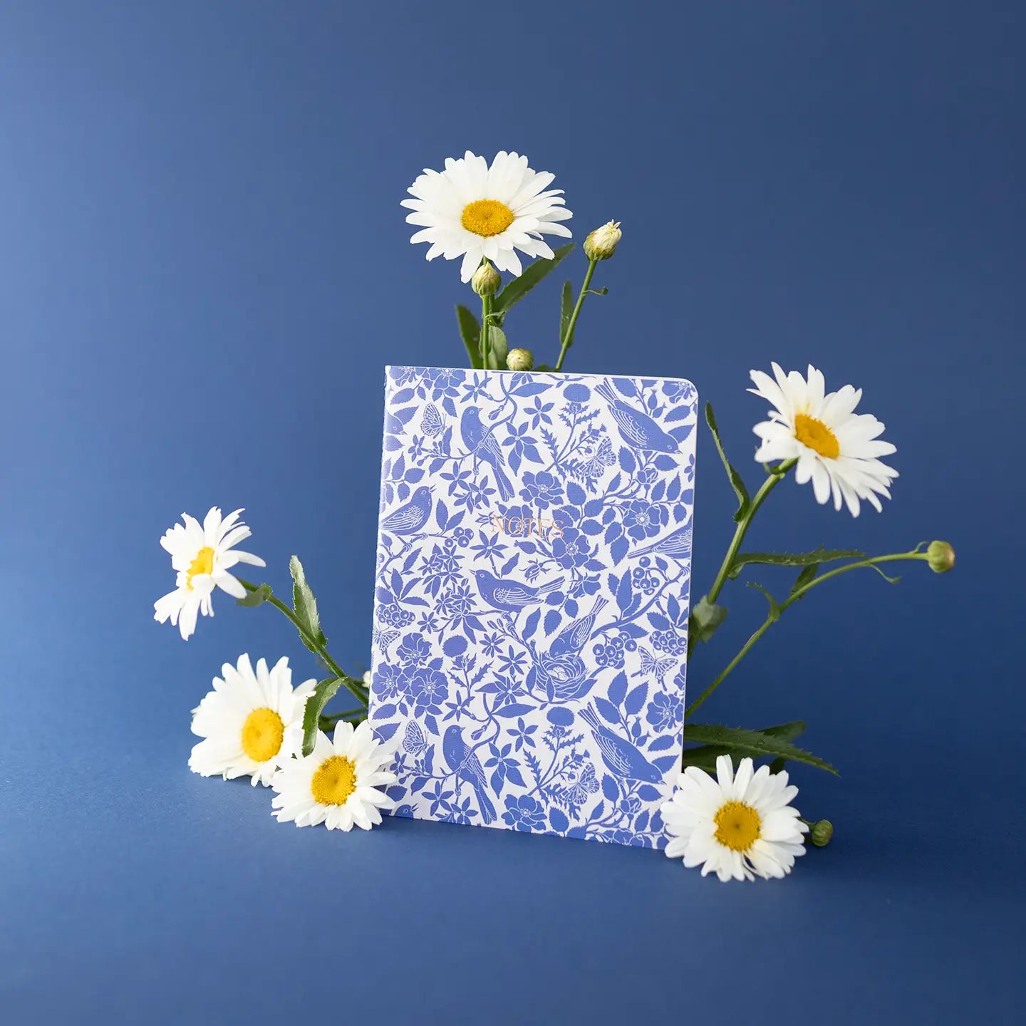 botanica paper co. / notebook - blue birds