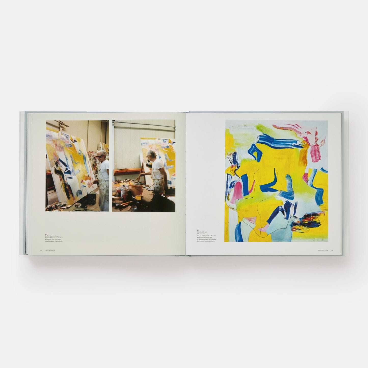 a way of living: the art of willem de kooning