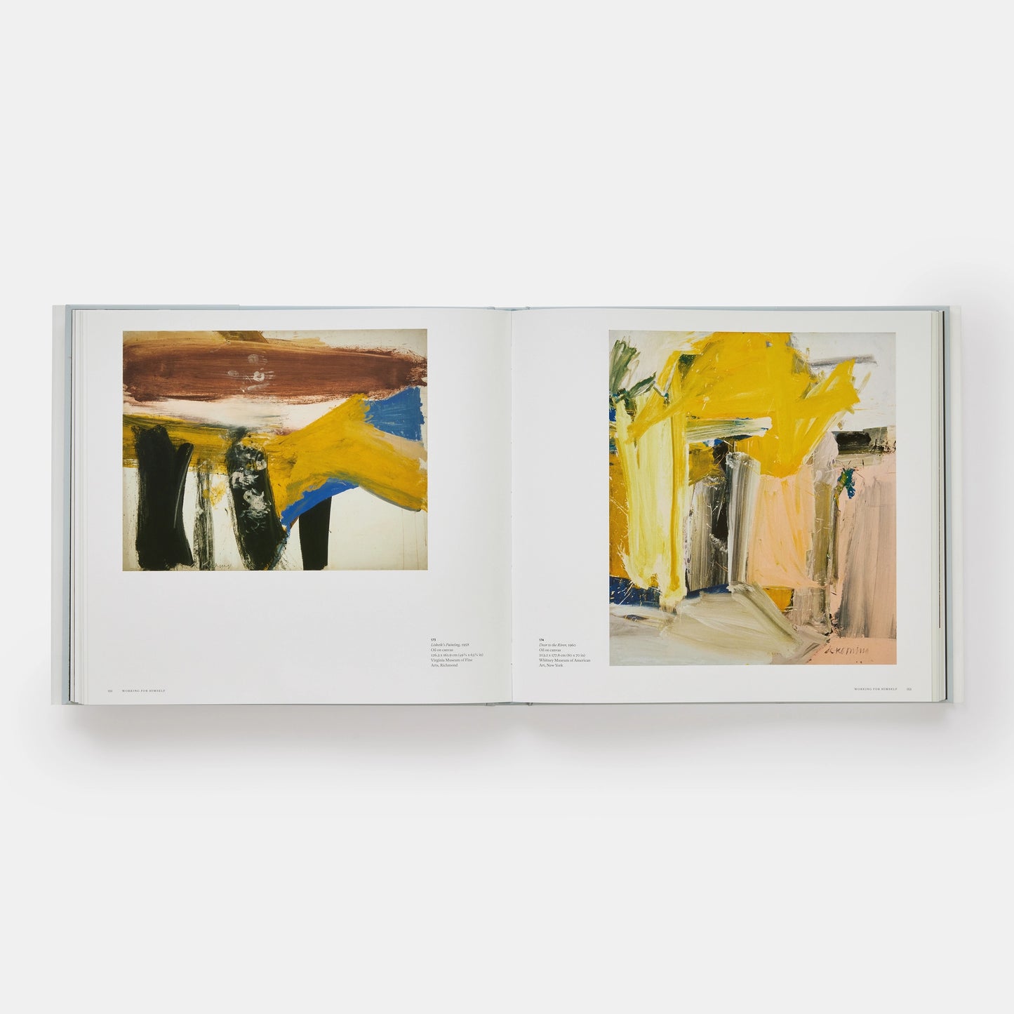 a way of living: the art of willem de kooning