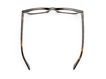 CADDIS / bixby readers - turtle