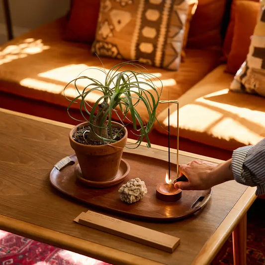 p.f. candle co. / incense - arroyo oak
