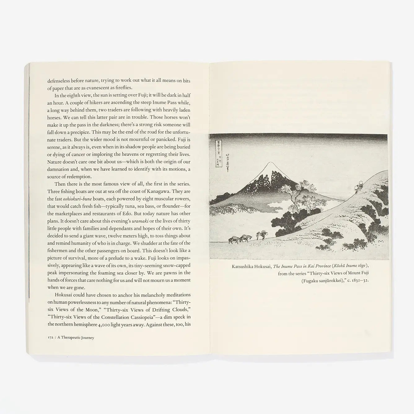 a therapeutic journey