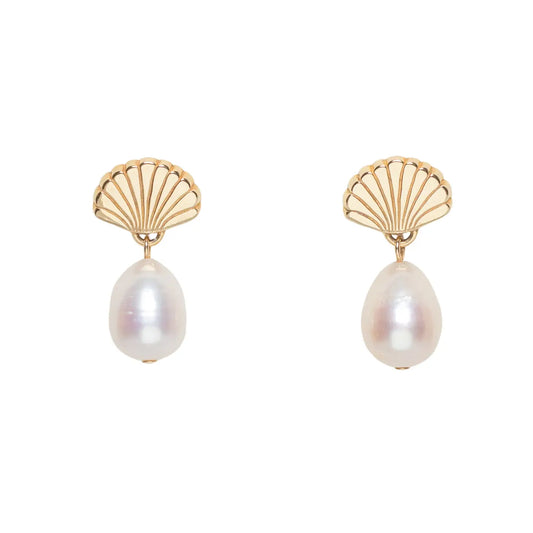 petite coquille earrings