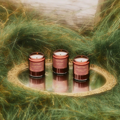p.f. candle co. / seasonal candle - ancient myrrh