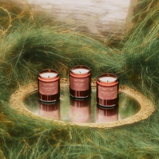 p.f. candle co. / seasonal candle - cathedral clove