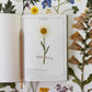 botanica paper co. / linen planner - herbarium