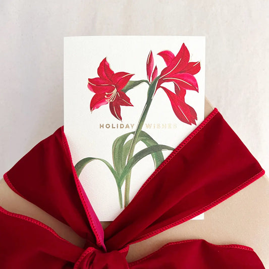 amaryllis holiday wishes greeting card