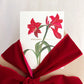 amaryllis holiday wishes greeting card