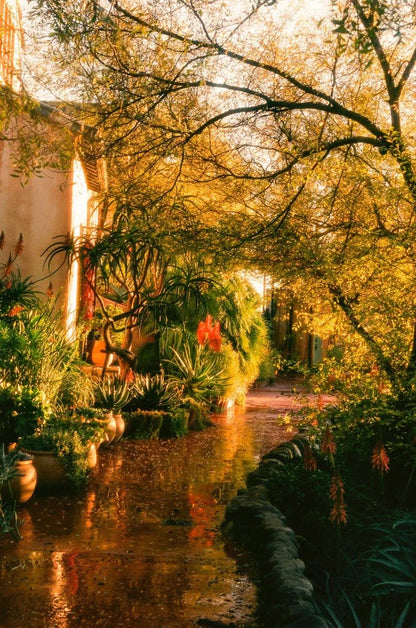 flamingo estate / candle - petrichor