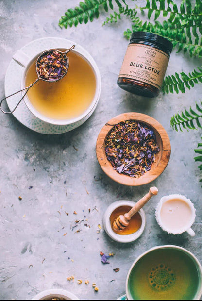 anima mundi / tea - blue lotus