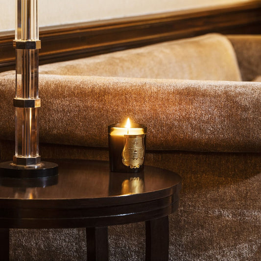 trudon / candle - madeleine